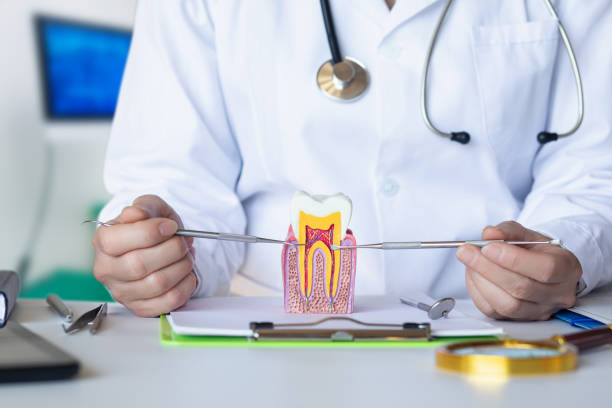 Best Emergency Gum Treatment in Belleview, FL
